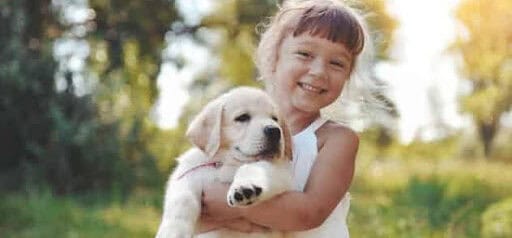 young girl holds cute puppy Helland & Hurwitz Attorneys at Law Colorado