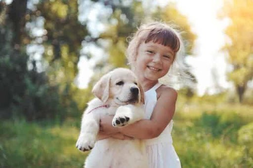 young girl holds cute puppy Helland & Hurwitz Attorneys at Law Colorado
