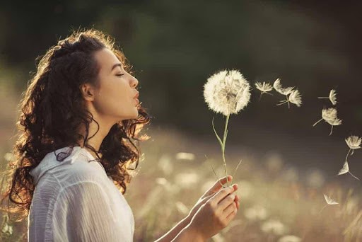woman blows a large dandelion in a park, feeling independence Helland & Hurwitz Attorneys at Law Colorado