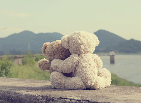 two cream colored teddy bears facing each other with mountains in background Helland & Hurwitz Attorneys at Law Colorado
