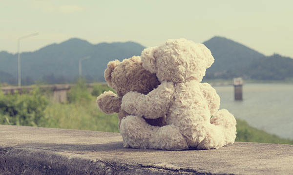 two teddy bears on a ledge with water and mountains in background Helland & Hurwitz Attorneys at Law Colorado