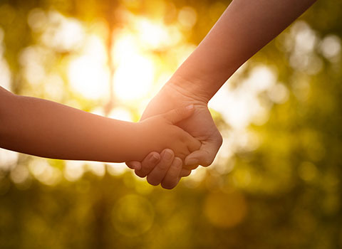 parent holds child's hand as light comes through the leaves of trees Helland & Hurwitz Attorneys at Law Colorado